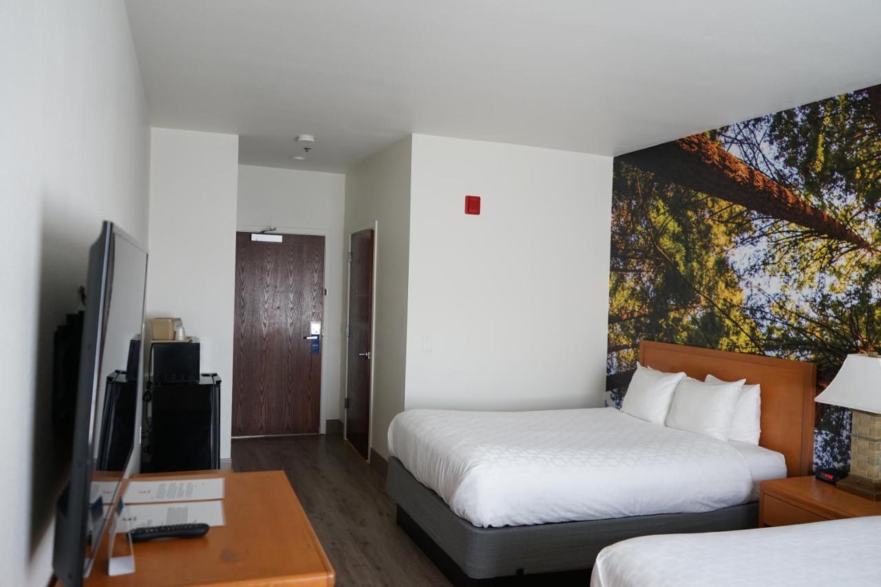 Comfort Inn Hanford Lemoore מראה חיצוני תמונה