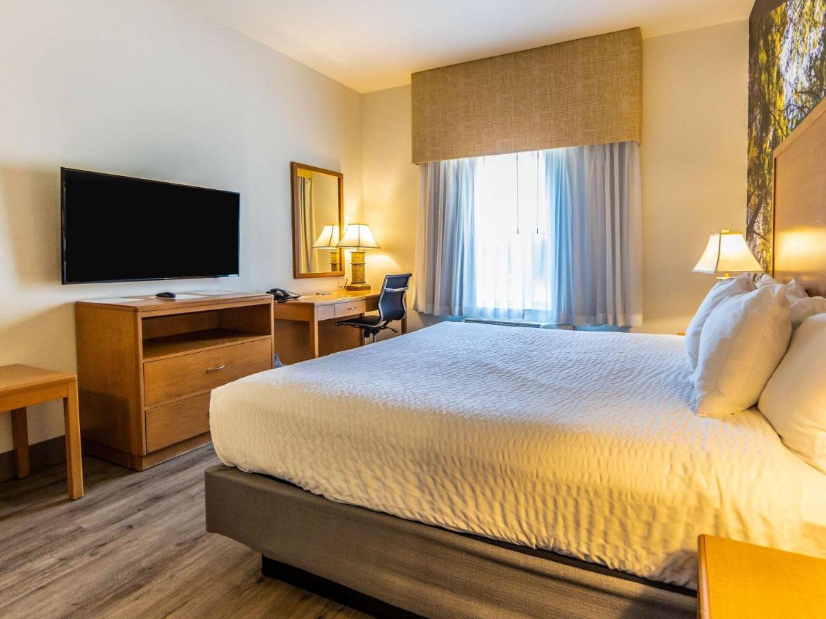 Comfort Inn Hanford Lemoore מראה חיצוני תמונה