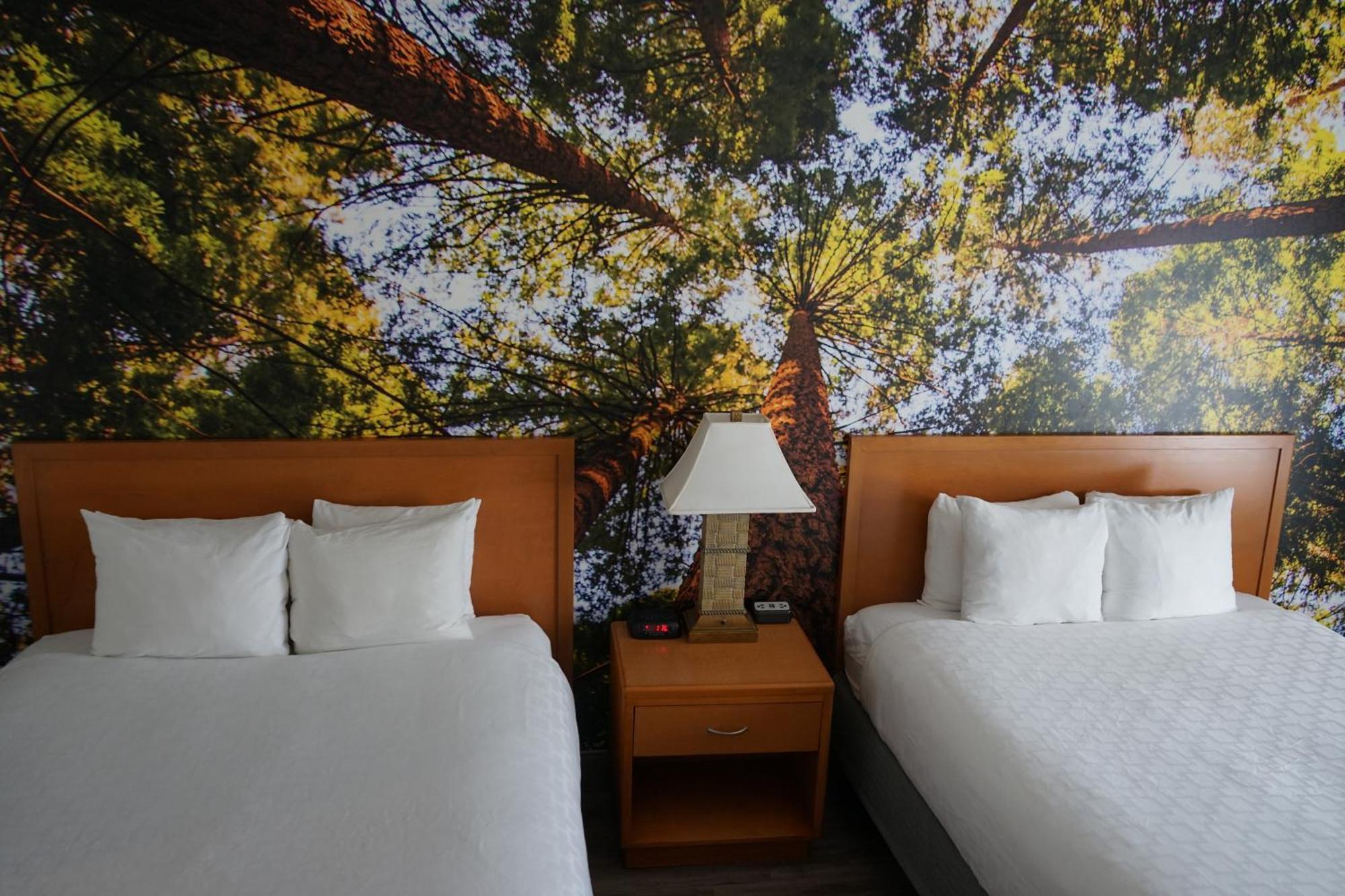 Comfort Inn Hanford Lemoore מראה חיצוני תמונה