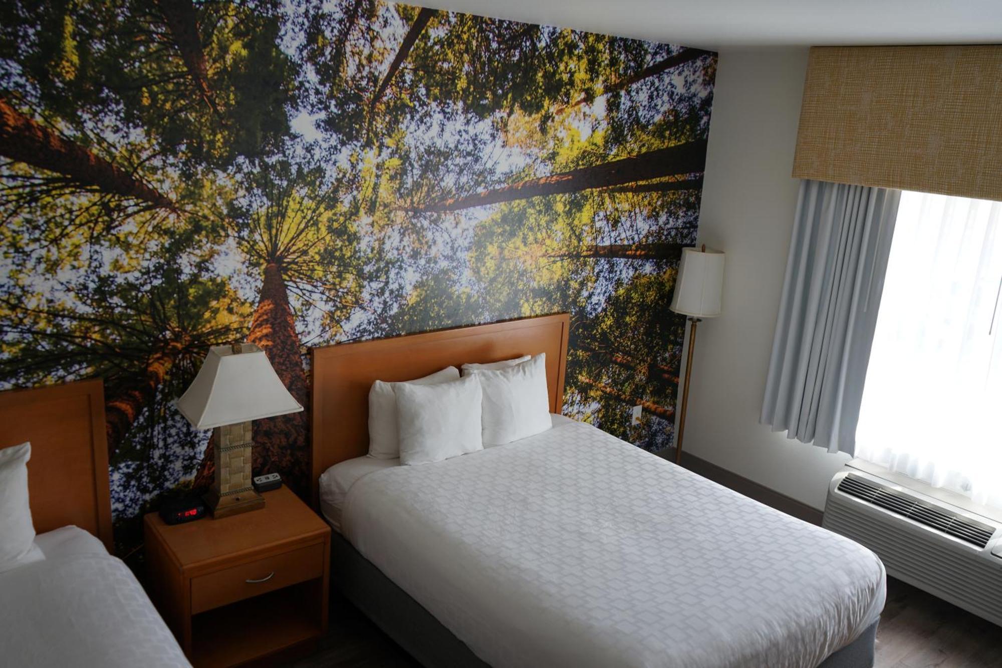 Comfort Inn Hanford Lemoore מראה חיצוני תמונה