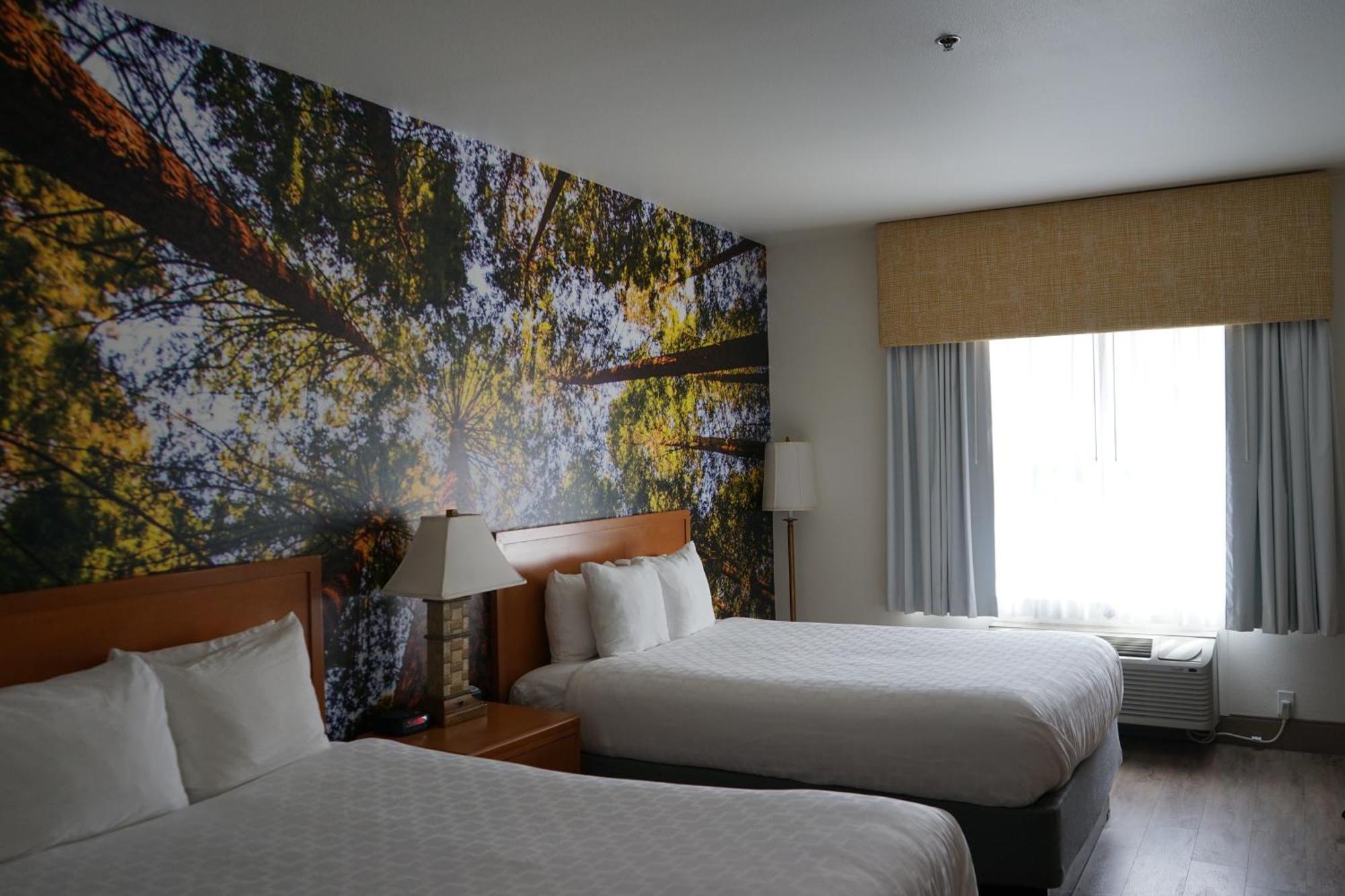 Comfort Inn Hanford Lemoore מראה חיצוני תמונה