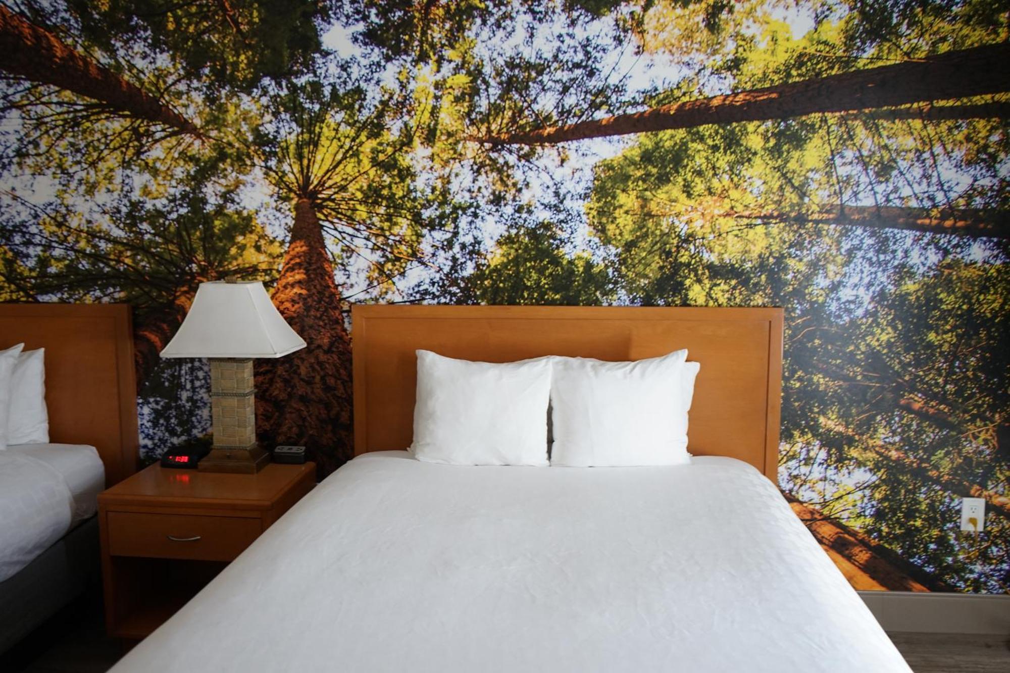 Comfort Inn Hanford Lemoore מראה חיצוני תמונה
