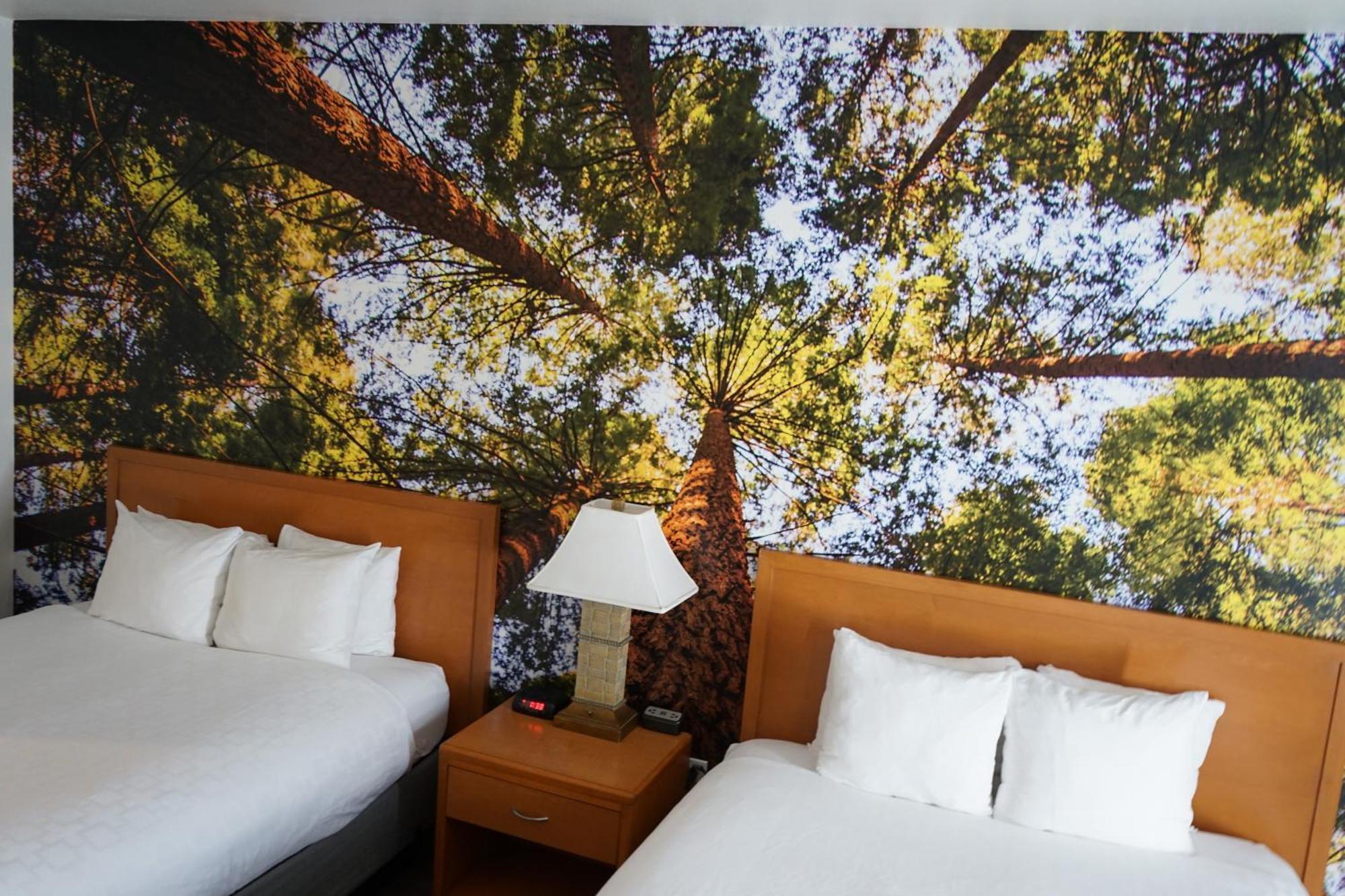 Comfort Inn Hanford Lemoore מראה חיצוני תמונה